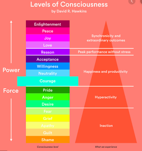 consciousness kinesiology